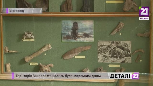 Територія Закарпаття колись була морським дном