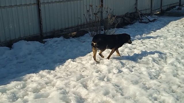 Утренние процедуры.