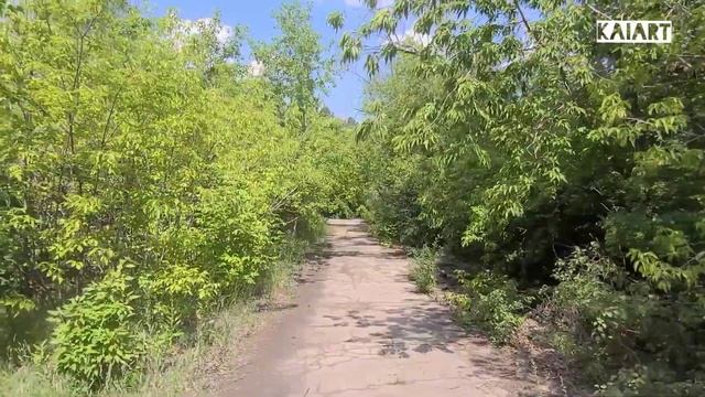 Центральная аллея в заброшенном Парке культуры металлургов в Магнитогорске. А 30-е годы было круто!