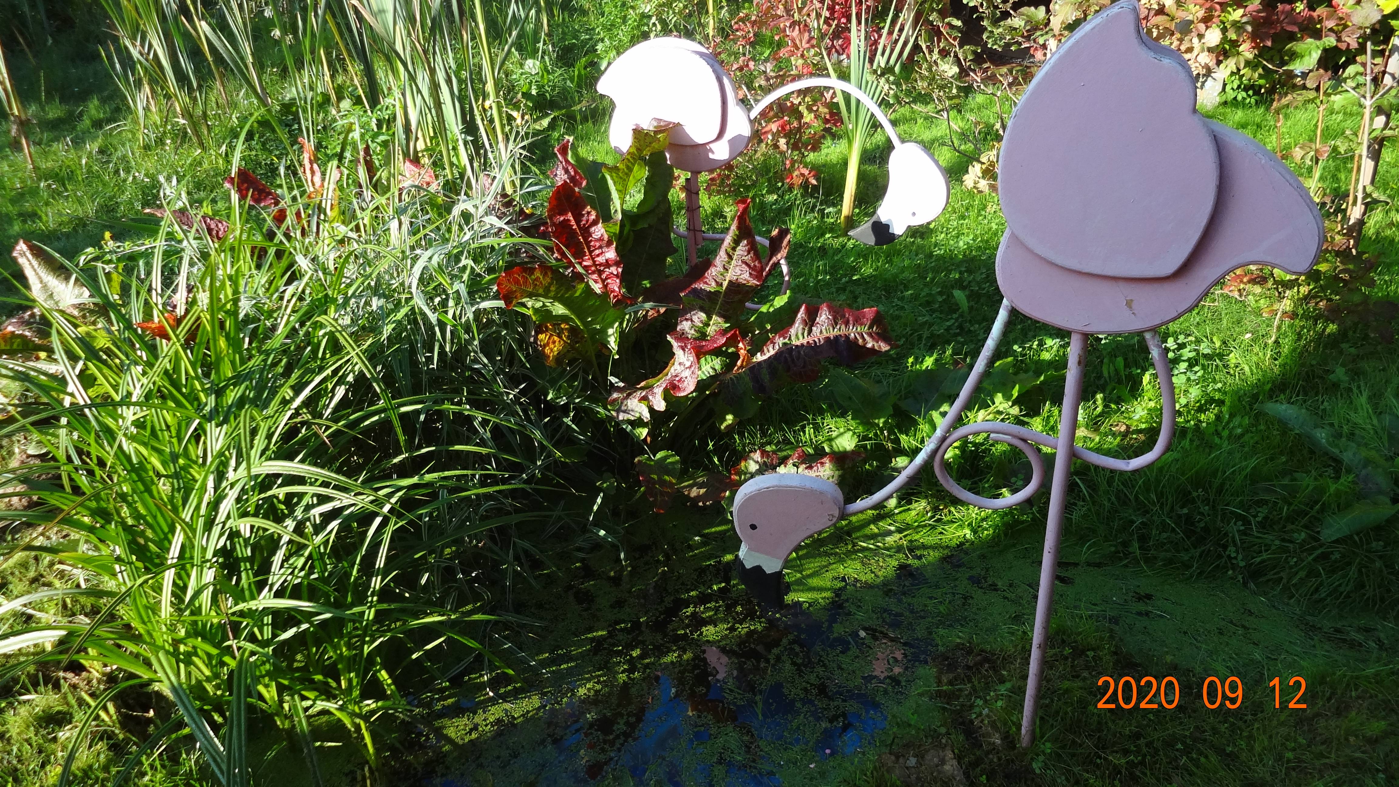 Репортаж с бобровой запруды ч. 12