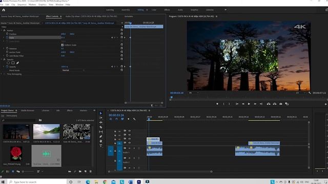 Basic Editing in Adobe Premiere Pro | Steps to Edit Video Premiere Pro