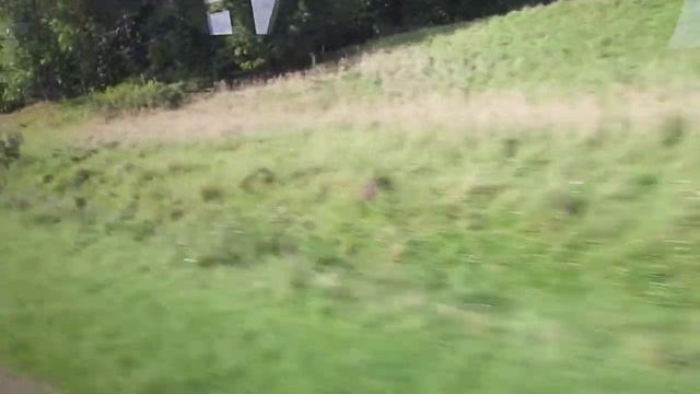 Участок доргоги Краснознаменск - Неман