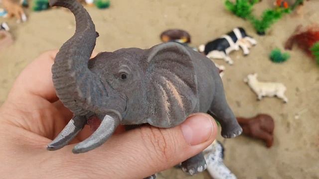 Сельскохозяйственные и Дикие животные! Звуки животных - Корова Панда Крокодил Зебра Слон Волк