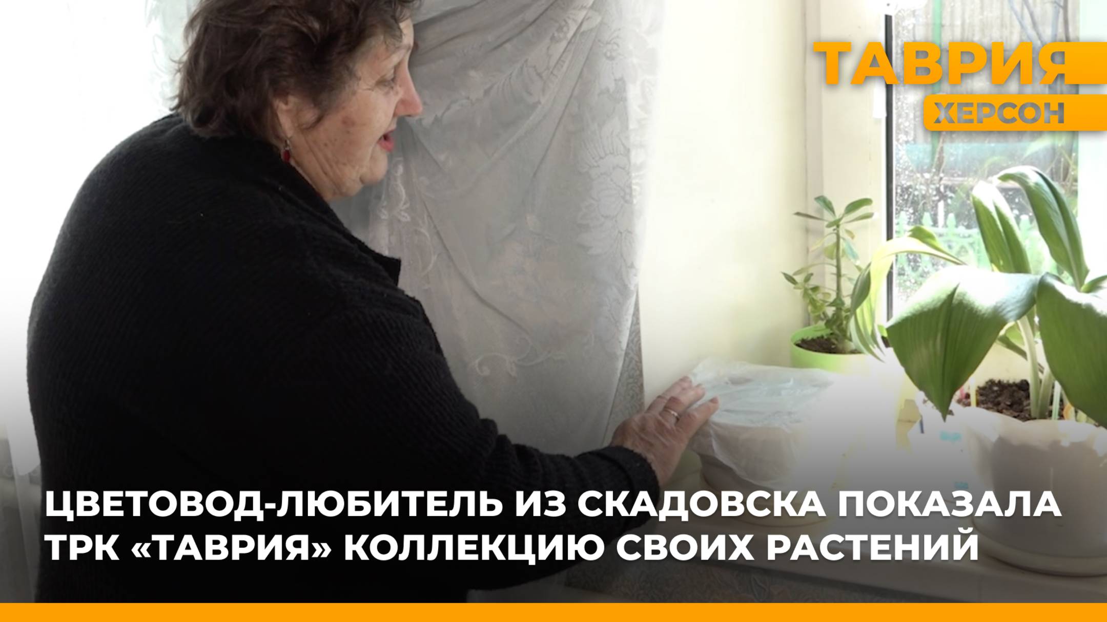 Цветовод-любитель из Скадовска показала журналистам ТРК "Таврия" коллекцию своих растений