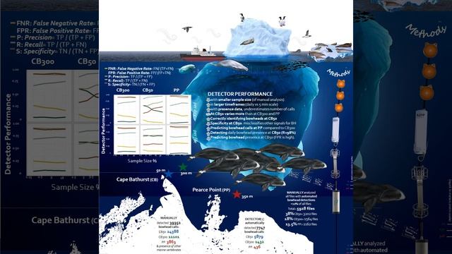 Seasonal Acoustic Presence of Bowhead Whales and Other Marine Mammals in the Canadian Arctic