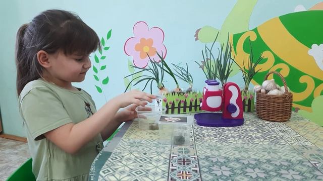 Паймымон чеснок (Фёдорова Ульяна)