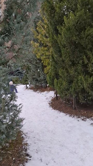 Снежная тропинка🥰❤️🔥