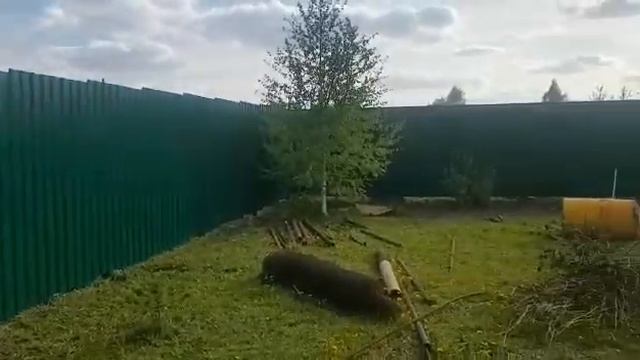 Забор из профлиста от компании Зазабором42