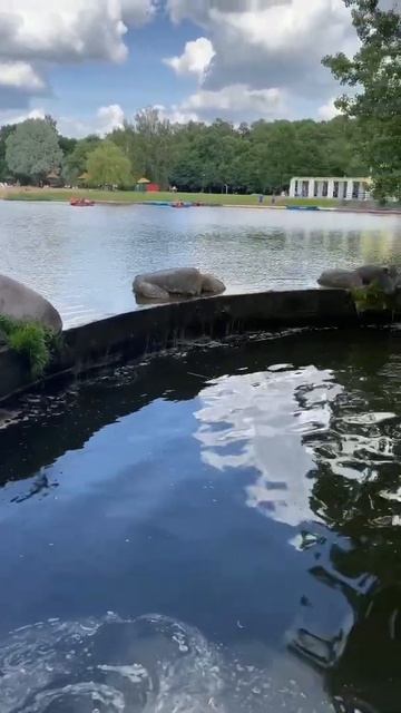 Несвижский замок 🏰