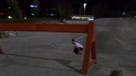 Millenium Skate Sesh.