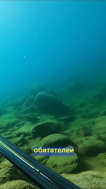 Дагестан - родина подводной охоты Подводная охота