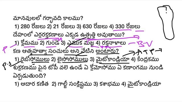 AP EAMCET zoology | NEET zoology | WARD SANITATION| M.Sc Zoology entrance exam