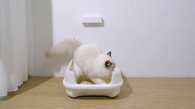 Pet Odor Purifier