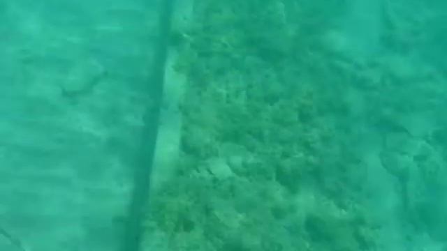 Shale Scow Shipwreck #1 8-16-2011