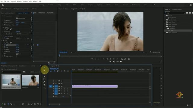 How To Crop Video In Premiere Pro