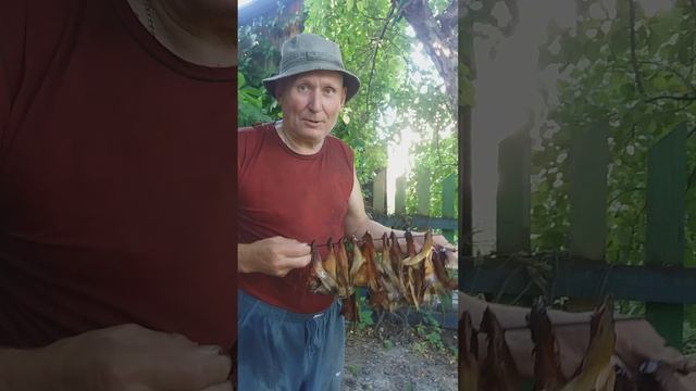Карасики копченые- вот это вкусняшка !