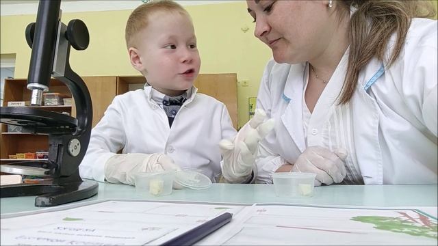 Пурысьтам нянь (Корнев Родион)