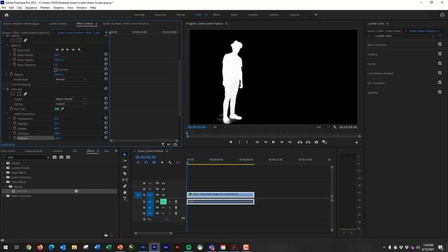 ADOBE PREMIERE  \\  Using Green Screen in Premiere Pro