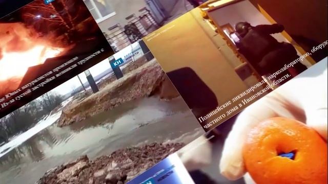 Душераздирающие кадры похищения собаколовами любимого всеми Пирожка из Навли