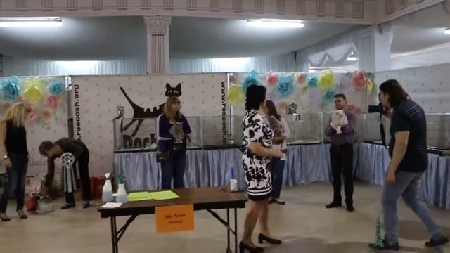 ринг британов
