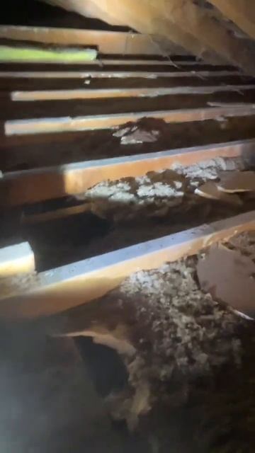 Attic inspection Sacramento
