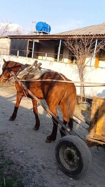 Грузинский деревни моя родина