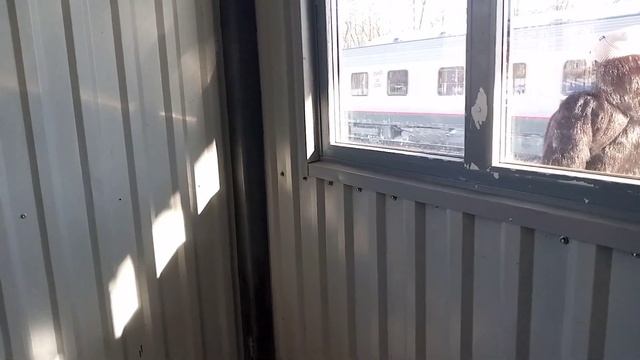 Электровоз эп2к-??? с Пассажирским поездом Колпино