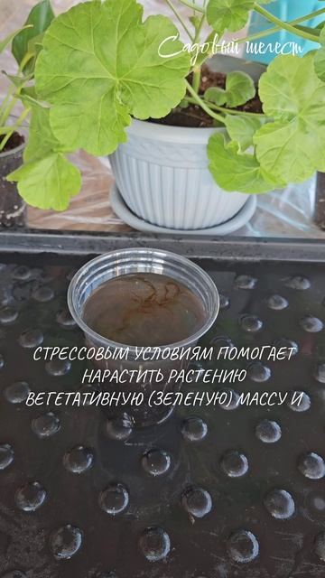Азот для растений