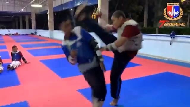 (Taekwondo) Basic Movement for Sparring

Taweesilp Taekwondo Thailand