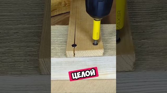 Век живи век учись