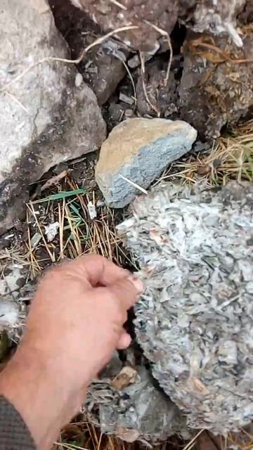 Арболит в земле три года Завод "АРБОЛИТ-ЭКО"