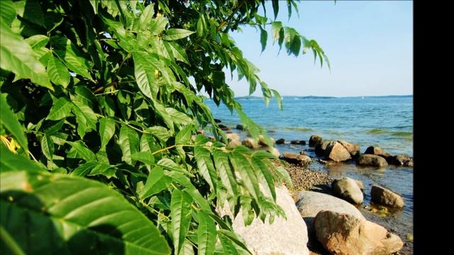 A lovely day by the Sea