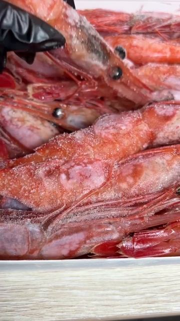 Ама эби Самое лучшие в розницу и оптом для любимых клиентов