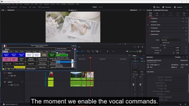 How to Apply a macro with voice command in DaVinci Resolve