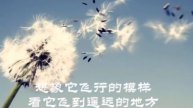 原创诗歌《蒲公英》作者/雲锦