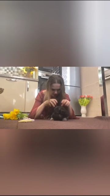 ВЕО девочка розовая ленточка