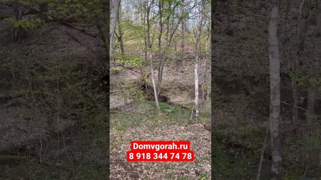 ИЖС с лесом и с электричеством. Участок в Краснодарском крае 12 соток
