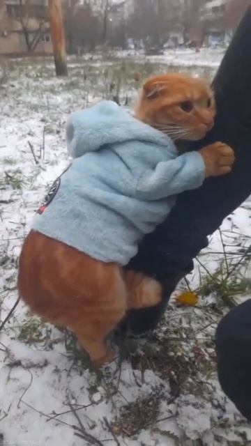 Пошли домой, пожалуйста