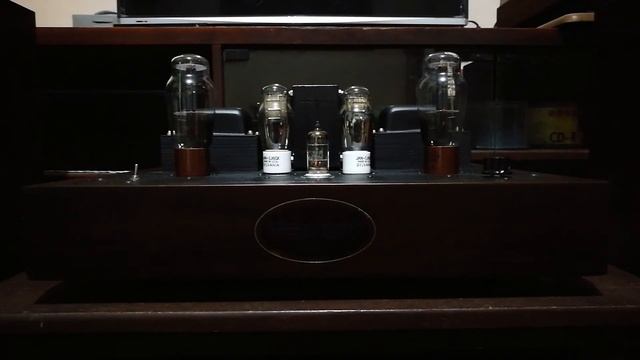 Trodt VT25 Single-Ended Triode Amp (1.6-watter)