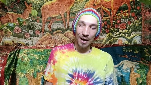вы говорите