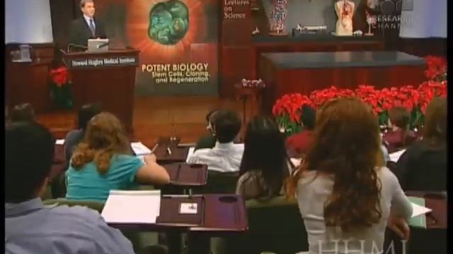 Coaxing Embryonic Stem Cells