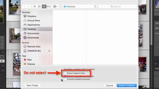 How To Export A Catalog & Smart Previews