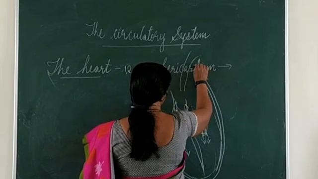 The Circulatory System   - Part 3