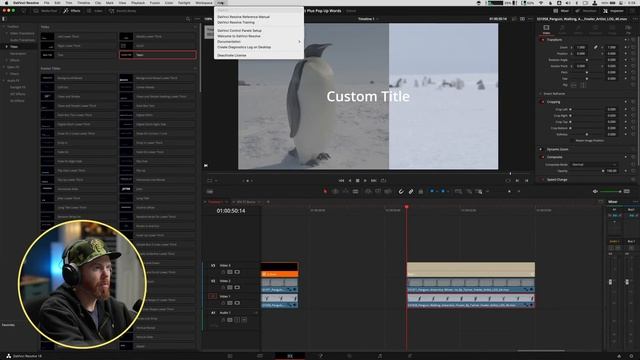 DaVinci Resolve Timecode Burn for VFX Plates