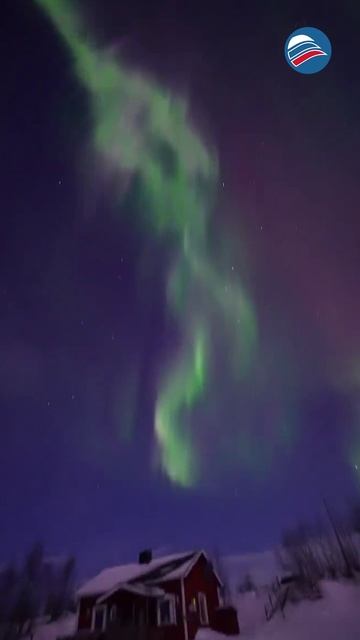 Природное чудо: завораживающие кадры полярного сияния в Лапландии #shorts