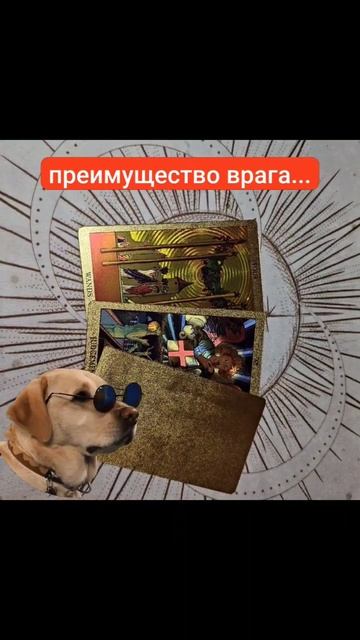 scene_output.mp4