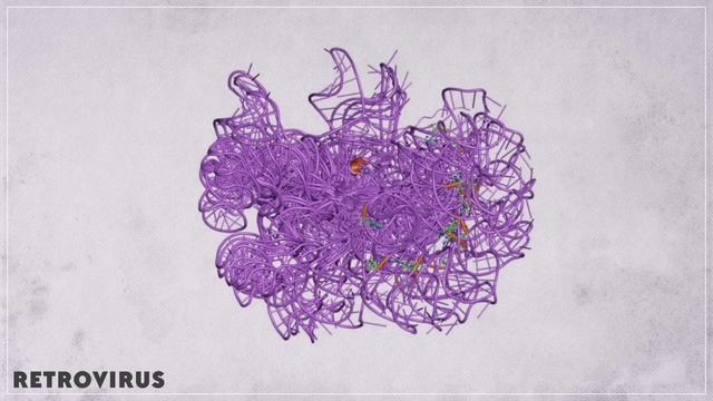 Вирусы, как они появились?