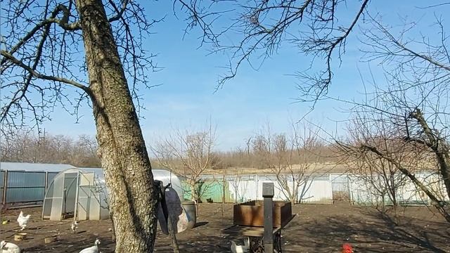 Жизнь в Краснодарском крае