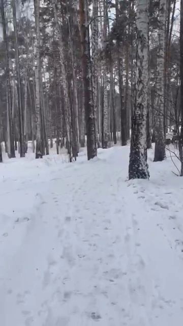 ПОШЛА ПОГУЛЯТЬ....🌨