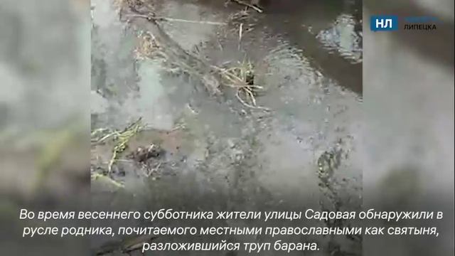 Мигрантский баран отравил святой источник трупным ядом